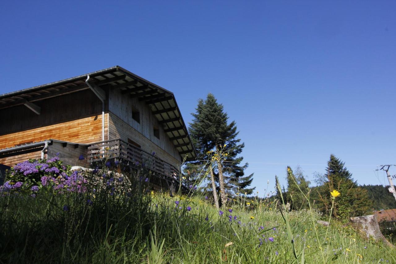Le Chalet De Valentine Bed & Breakfast Ventron Exterior photo